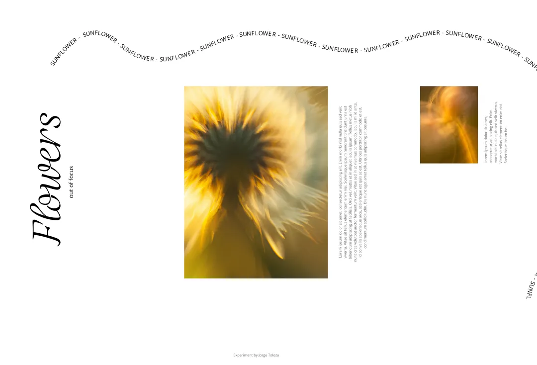 Flowers out of focus